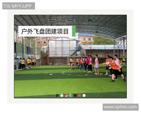 飞盘战术揭秘：南京飞盘队如何实现整体压制与团队协作